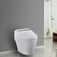 Bathroom ceramic one piece hotel electronic wc intelligent toilet with CUPC