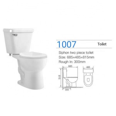 cheap bathroom ceramic dual flush wc toilet